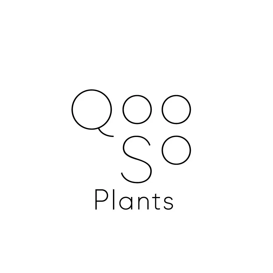 QooSo Plants（クウソープランツ）